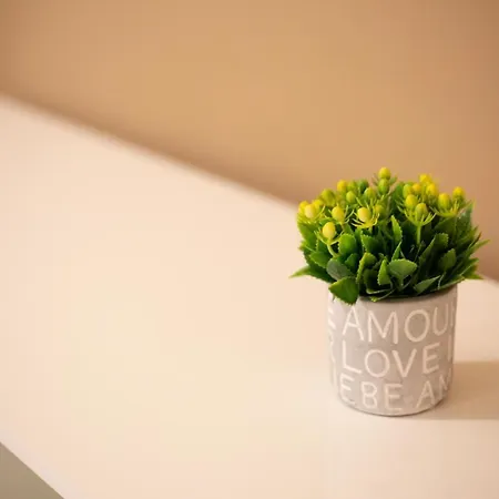 Privilege Chiaia By Dimorra Apartamento *